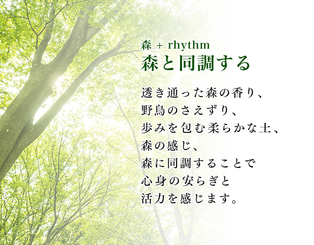 森 + rhythm 森と同調する 透き通った森の香り、野鳥のさえずり、歩みを包む柔らかな土、森の感じ、森に同調することで心身の安らぎと活力を感じます。