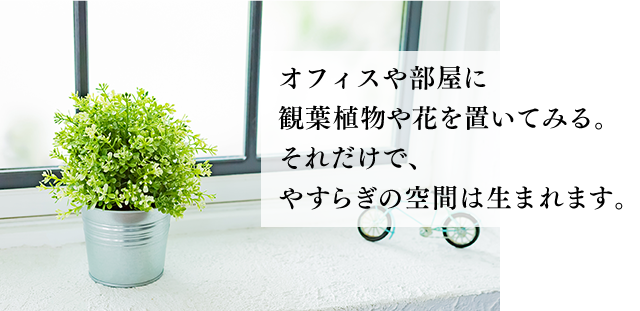 オフィスや部屋に観葉植物や花を置いてみる。それだけで、やすらぎの空間は生まれます。